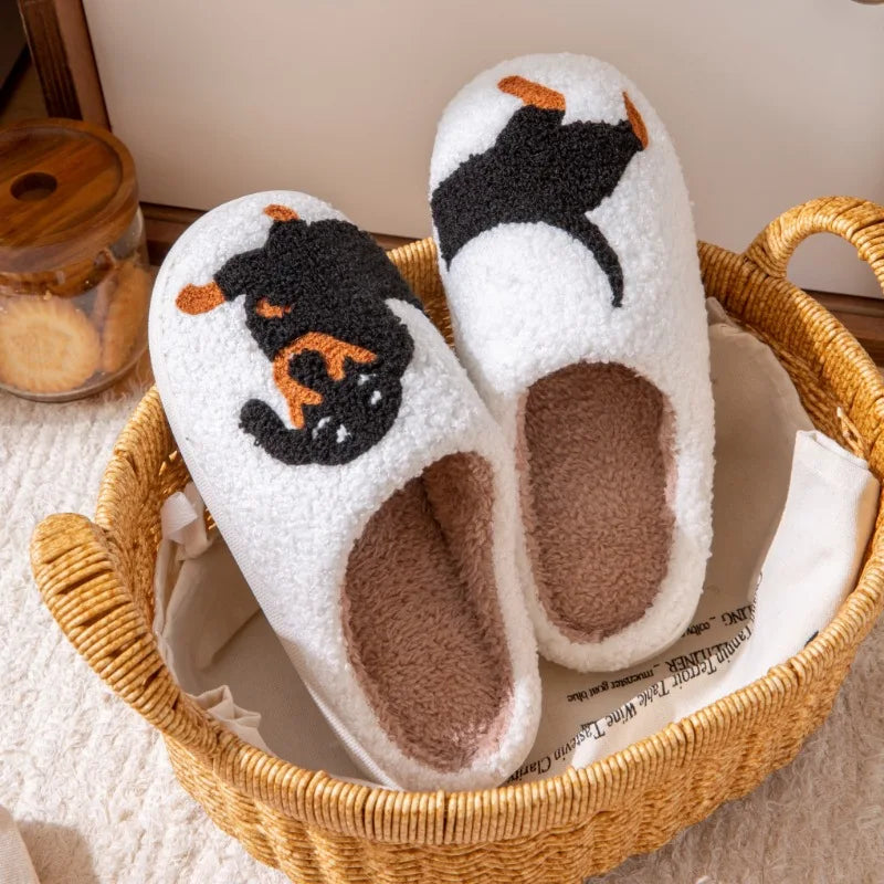 pantofole gatto